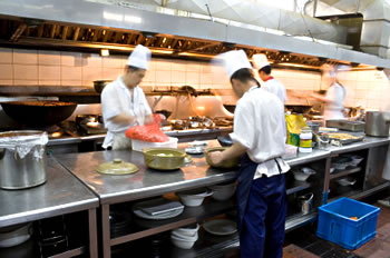 HACCP Kitchen Busy